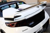 S660 Extricリアウイング+エクステンション